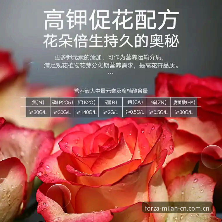 揭秘米兰官网中国首页使用指南：那些你不知道的登录与闪退真相
